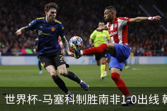 世界杯-马塞科制胜南非1-0出线 韩国积3分获小组第三待定