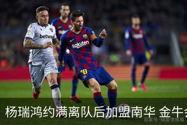 杨瑞鸿约满离队后加盟南华 金牛会继续为他加油