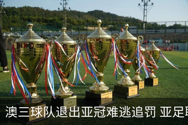 澳三球队退出亚冠难逃追罚 亚足联铁腕将适时展现