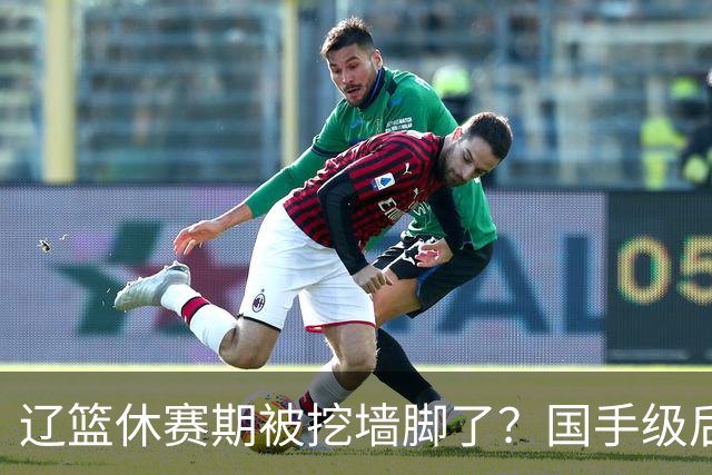 辽篮休赛期被挖墙脚了？国手级后卫恐被交易：变相逼着赵继伟走人